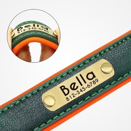 Collier Chien Personnalisé Prenom