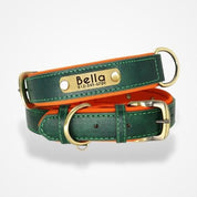 Collier Chien Personnalisé Prenom Vert / XS